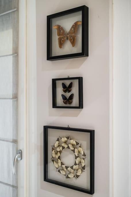 Casa Delle Farfalle ボローニャ エクステリア 写真